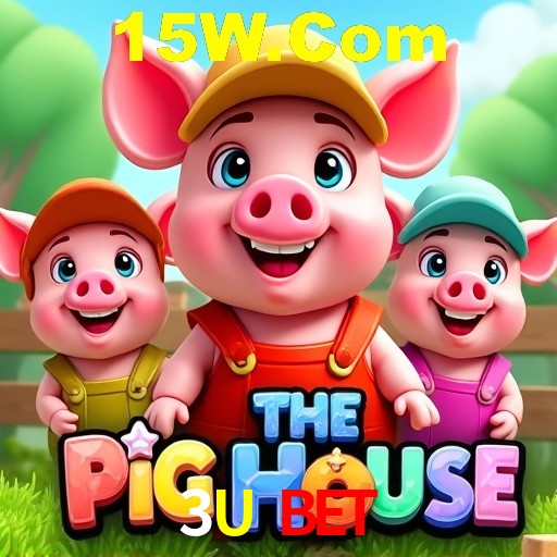 Interface Premium 3U Bet